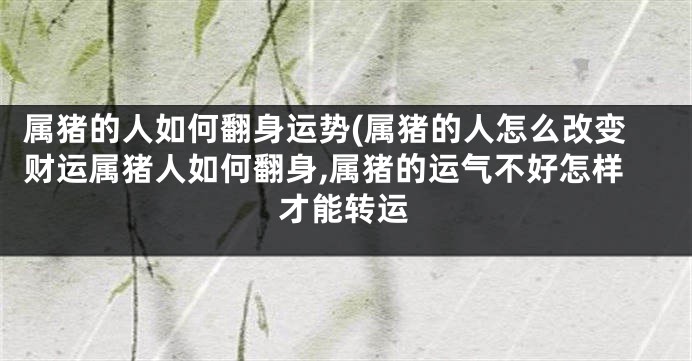 属猪的人如何翻身运势(属猪的人怎么改变财运属猪人如何翻身,属猪的运气不好怎样才能转运