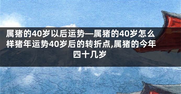 属猪的40岁以后运势—属猪的40岁怎么样猪年运势40岁后的转折点,属猪的今年四十几岁