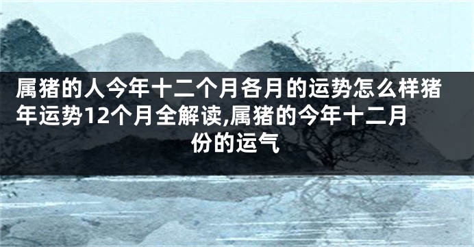 属猪的人今年十二个月各月的运势怎么样猪年运势12个月全解读,属猪的今年十二月份的运气