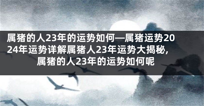 属猪的人23年的运势如何—属猪运势2024年运势详解属猪人23年运势大揭秘,属猪的人23年的运势如何呢