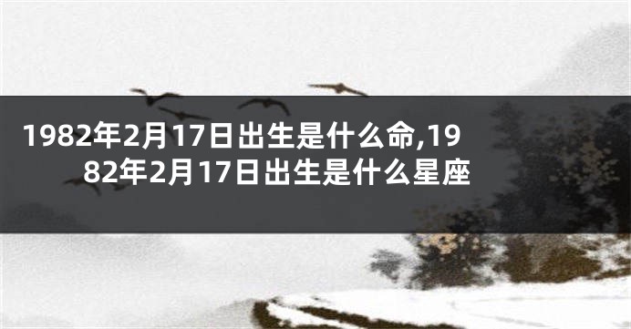 1982年2月17日出生是什么命,1982年2月17日出生是什么星座