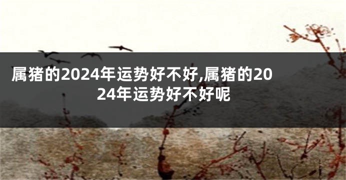 属猪的2024年运势好不好,属猪的2024年运势好不好呢