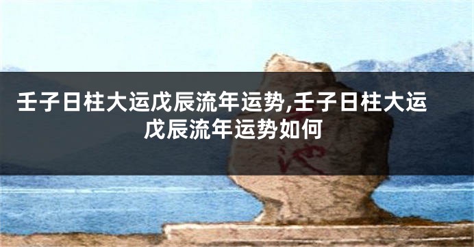 壬子日柱大运戊辰流年运势,壬子日柱大运戊辰流年运势如何