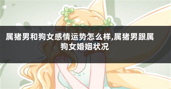 属猪男和狗女感情运势怎么样,属猪男跟属狗女婚姻状况