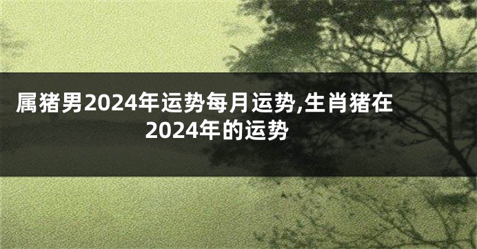 属猪男2024年运势每月运势,生肖猪在2024年的运势