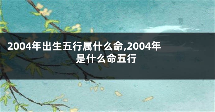 2004年出生五行属什么命,2004年是什么命五行