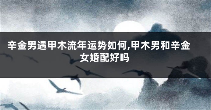 辛金男遇甲木流年运势如何,甲木男和辛金女婚配好吗