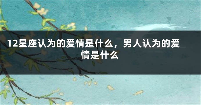 12星座认为的爱情是什么，男人认为的爱情是什么