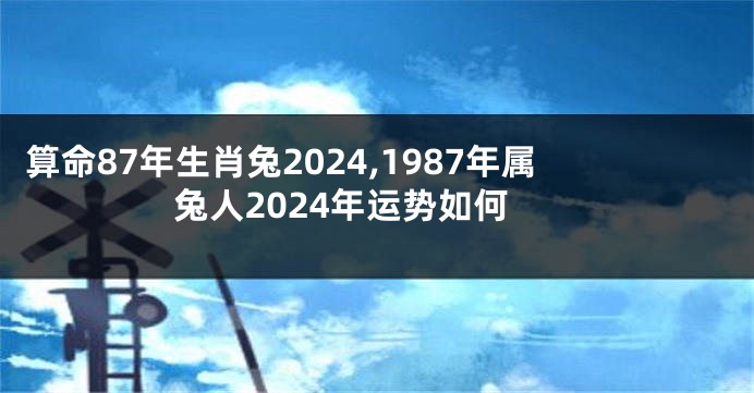 算命87年生肖兔2024,1987年属兔人2024年运势如何