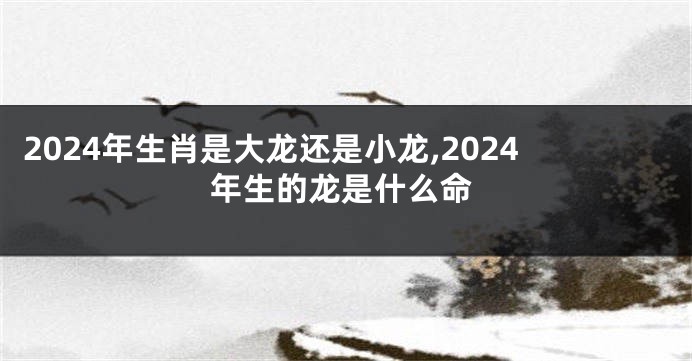 2024年生肖是大龙还是小龙,2024年生的龙是什么命