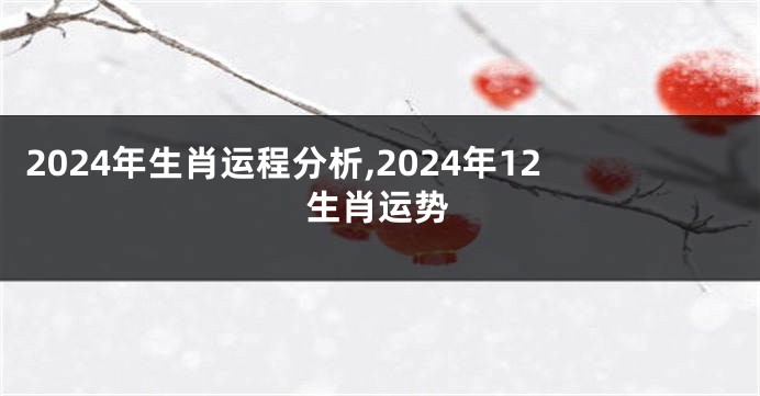 2024年生肖运程分析,2024年12生肖运势