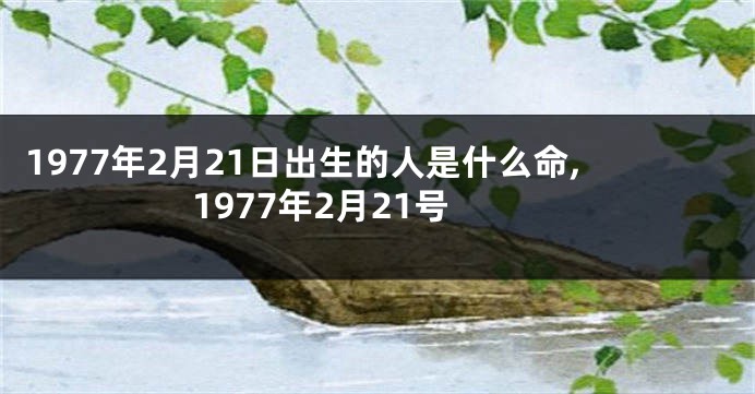1977年2月21日出生的人是什么命,1977年2月21号