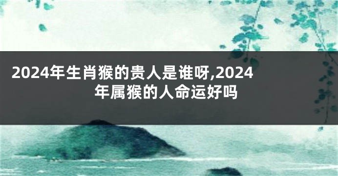 2024年生肖猴的贵人是谁呀,2024年属猴的人命运好吗