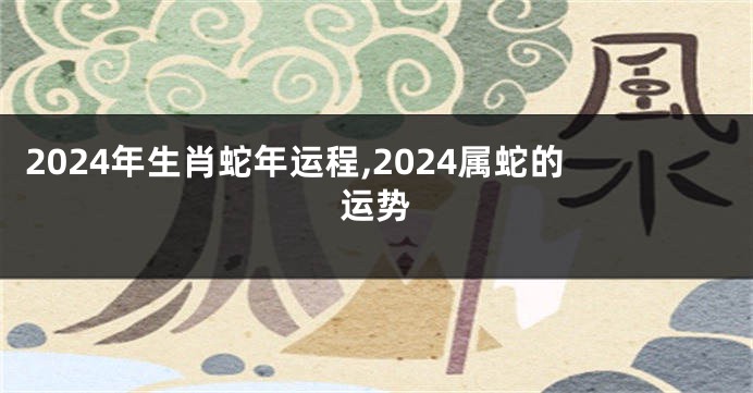 2024年生肖蛇年运程,2024属蛇的运势