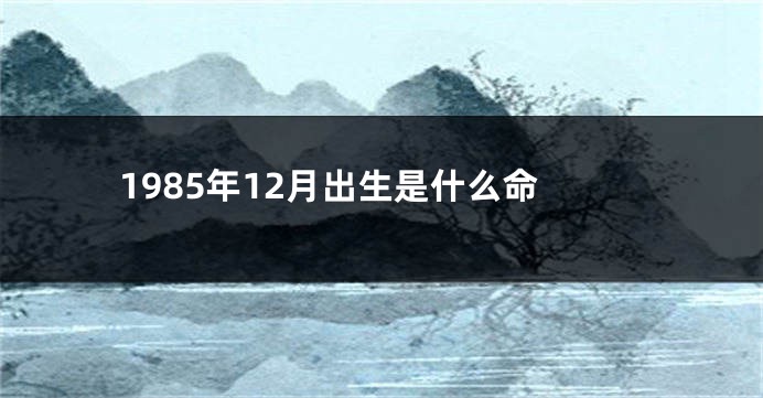 1985年12月出生是什么命
