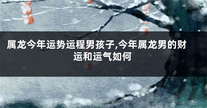 属龙今年运势运程男孩子,今年属龙男的财运和运气如何