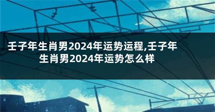 壬子年生肖男2024年运势运程,壬子年生肖男2024年运势怎么样