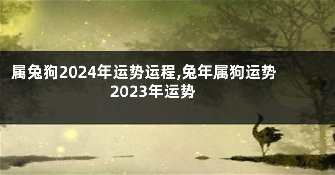 属兔狗2024年运势运程,兔年属狗运势2023年运势