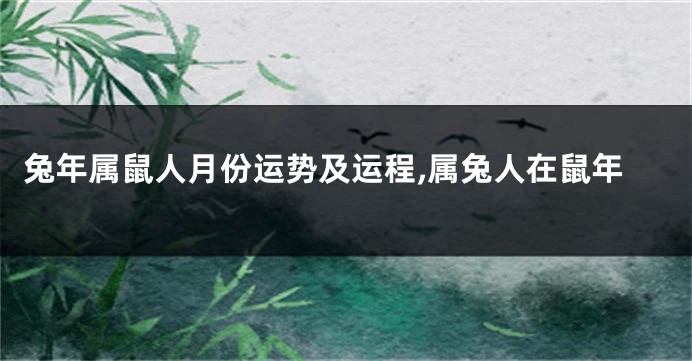 兔年属鼠人月份运势及运程,属兔人在鼠年
