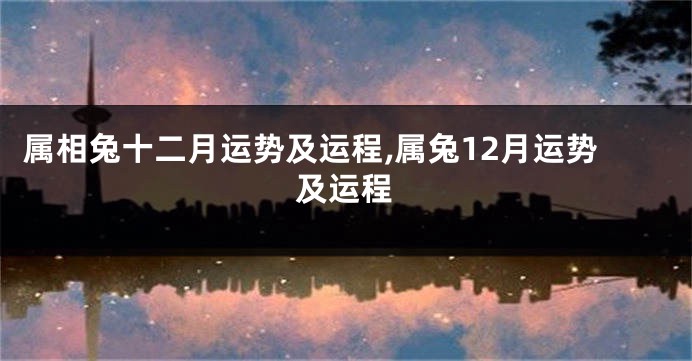 属相兔十二月运势及运程,属兔12月运势及运程