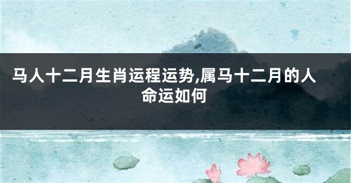 马人十二月生肖运程运势,属马十二月的人命运如何