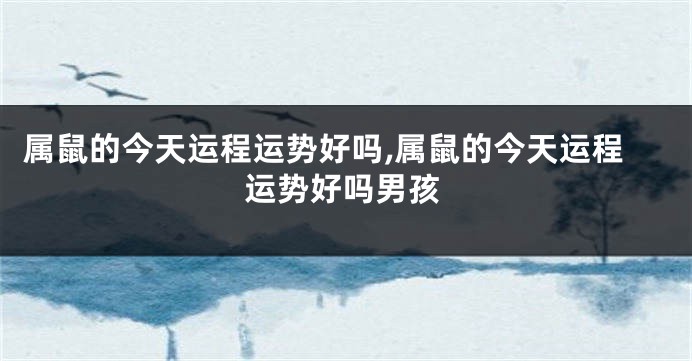 属鼠的今天运程运势好吗,属鼠的今天运程运势好吗男孩