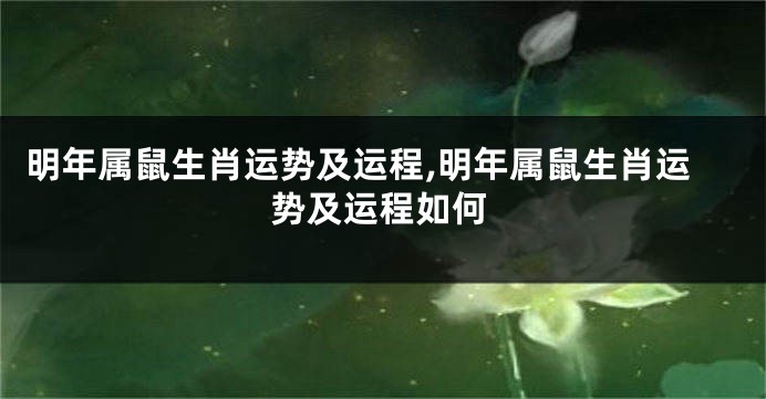 明年属鼠生肖运势及运程,明年属鼠生肖运势及运程如何