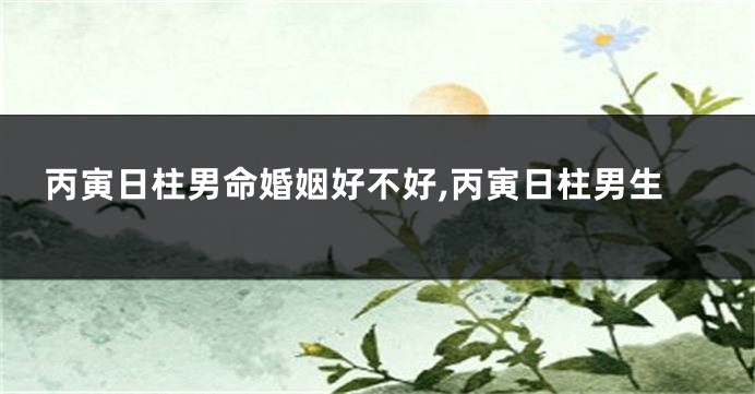 丙寅日柱男命婚姻好不好,丙寅日柱男生