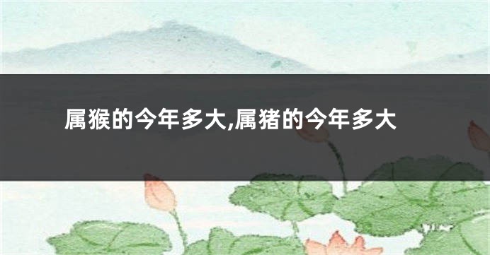 属猴的今年多大,属猪的今年多大