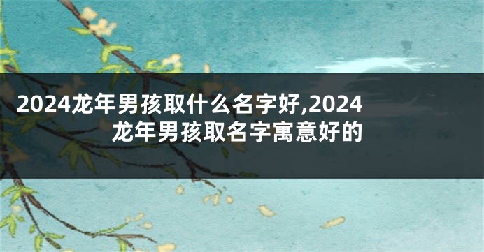 2024龙年男孩取什么名字好,2024龙年男孩取名字寓意好的