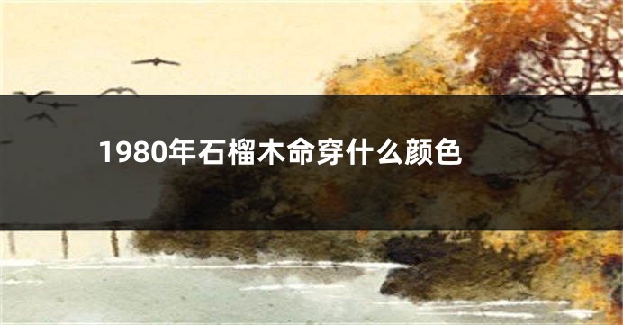 1980年石榴木命穿什么颜色