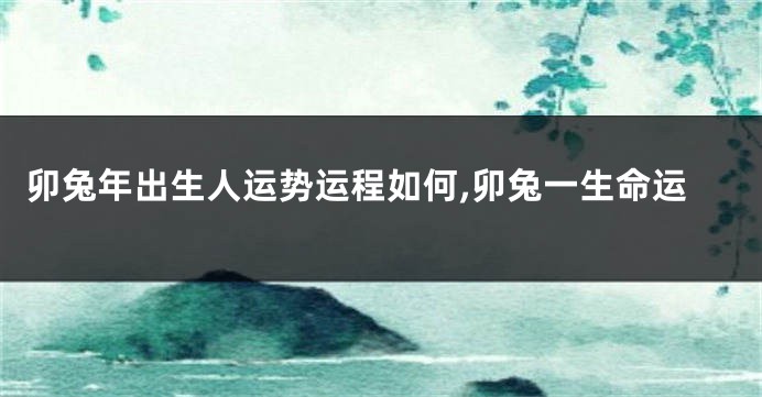 卯兔年出生人运势运程如何,卯兔一生命运
