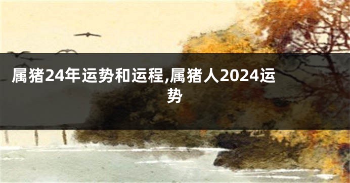 属猪24年运势和运程,属猪人2024运势