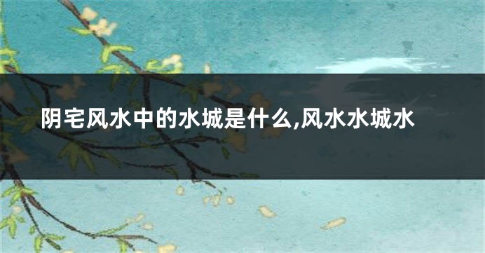阴宅风水中的水城是什么,风水水城水