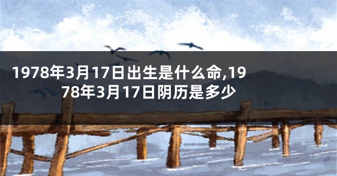 1978年3月17日出生是什么命,1978年3月17日阴历是多少