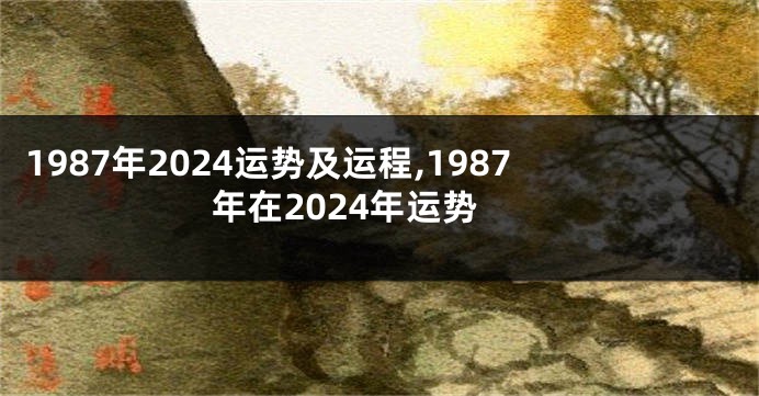 1987年2024运势及运程,1987年在2024年运势