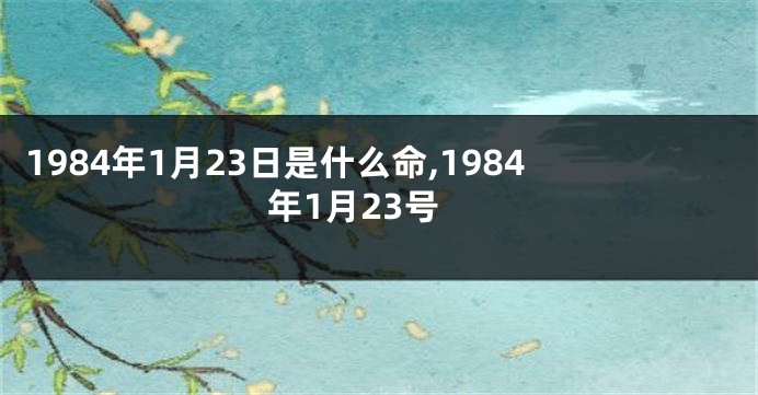 1984年1月23日是什么命,1984年1月23号