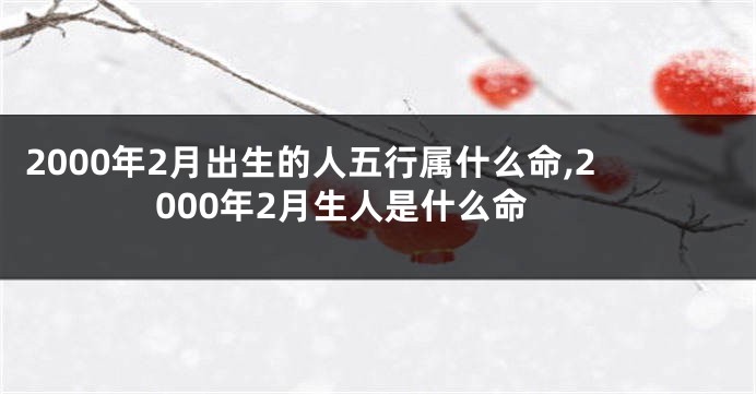 2000年2月出生的人五行属什么命,2000年2月生人是什么命