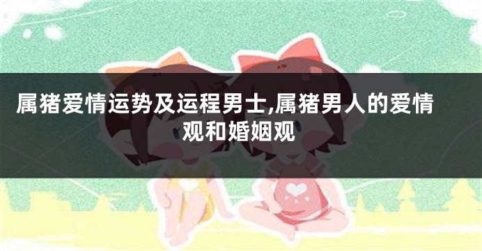 属猪爱情运势及运程男士,属猪男人的爱情观和婚姻观