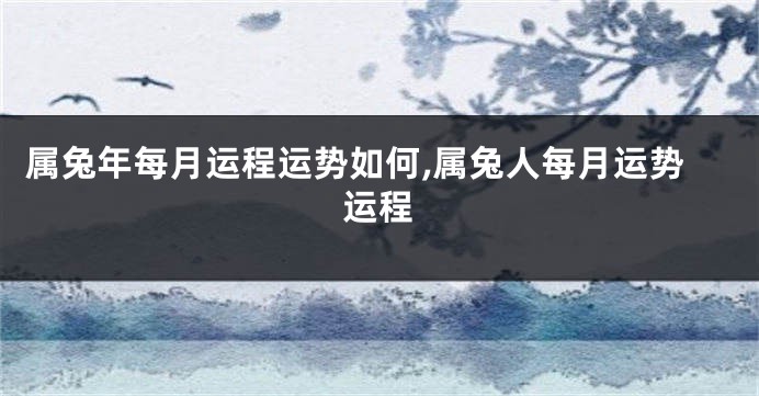 属兔年每月运程运势如何,属兔人每月运势运程