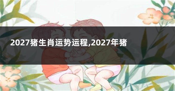 2027猪生肖运势运程,2027年猪
