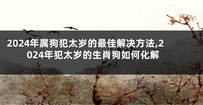 2024年属狗犯太岁的最佳解决方法,2024年犯太岁的生肖狗如何化解