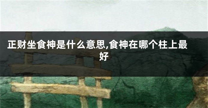 正财坐食神是什么意思,食神在哪个柱上最好