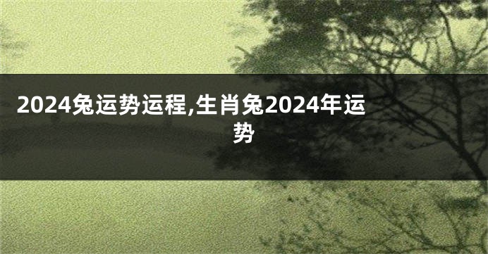 2024兔运势运程,生肖兔2024年运势