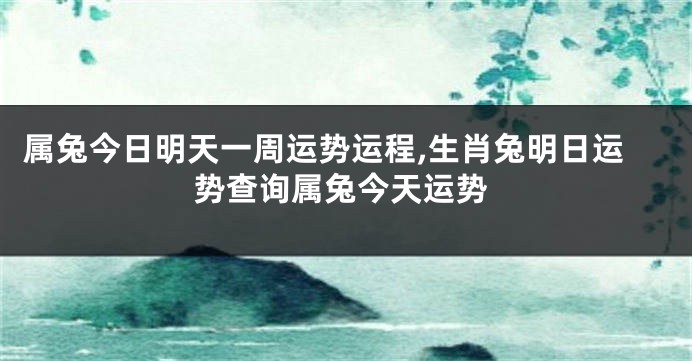 属兔今日明天一周运势运程,生肖兔明日运势查询属兔今天运势