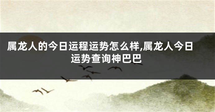 属龙人的今日运程运势怎么样,属龙人今日运势查询神巴巴