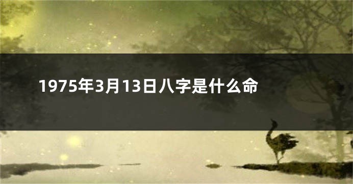 1975年3月13日八字是什么命