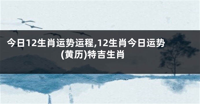 今日12生肖运势运程,12生肖今日运势(黄历)特吉生肖