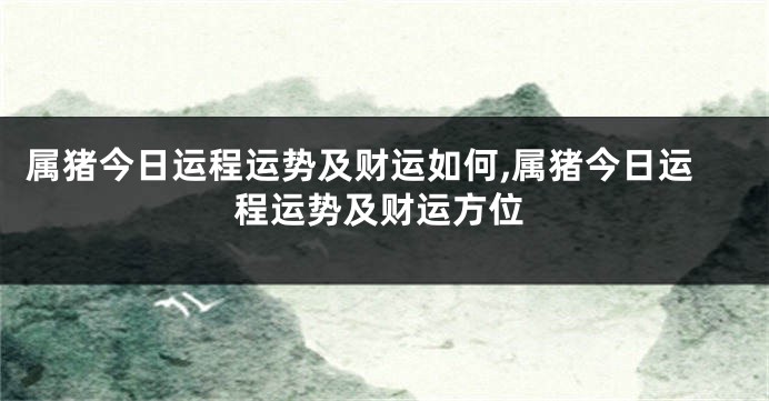 属猪今日运程运势及财运如何,属猪今日运程运势及财运方位