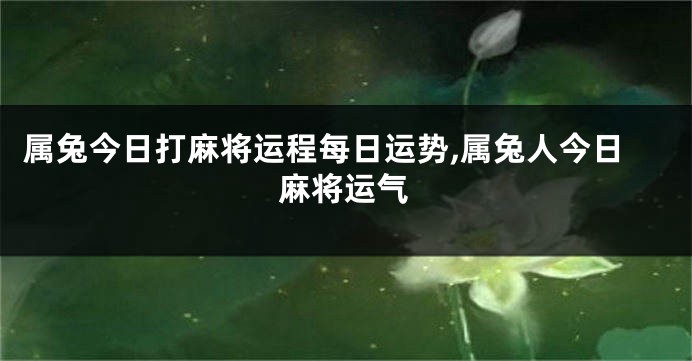 属兔今日打麻将运程每日运势,属兔人今日麻将运气